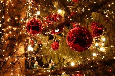 SEANCES  DU MOIS DE DECEMBRE